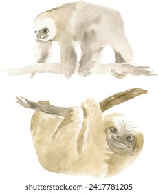 Sloth on the branch watercolor illustration, vector template. Thee-toed lazy Sloth climbing on the tree.