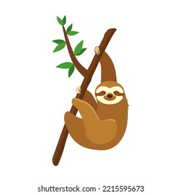 Sloth on tree branch flat picture. Cute sloth hanging on branch with leaves and smiling. Animals and wildlife concept