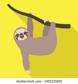 Sloth on tree icon. Flat illustration of sloth on tree vector icon for web design