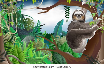 sloth on the tree in the jungle