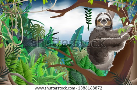 sloth on the tree in the jungle