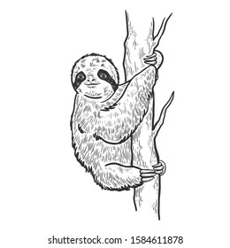 Sloth on tree sketch engraving vector illustration. T-shirt apparel print design. Scratch board style imitation. Black and white hand drawn image.