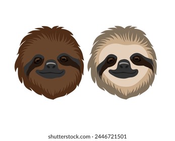 sloth on a white background.