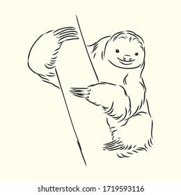 Sloth Outline Illustration, Sloth, Vector Sketch Illustration