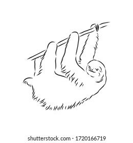 Sloth outline illustration, sloth, vector sketch illustration