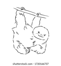 Sloth Outline Illustration, Sloth, Vector Sketch Illustration