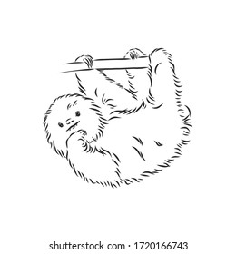 Sloth Outline Illustration, Sloth, Vector Sketch Illustration