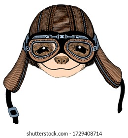 Sloth portrait. Face of cute animal. Motorcycle helmet.