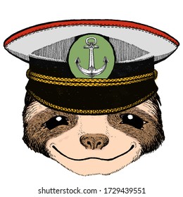 Sloth portrait. Face of cute animal.