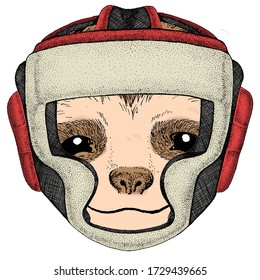 Sloth portrait. Face of cute animal. Boxing helmet.