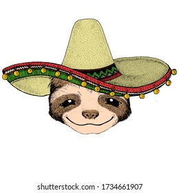 Sloth portrait. Sombrero mexican hat. Face of cute animal.