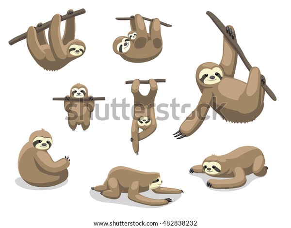 Sloth Poses Cartoon\
Vector Illustration