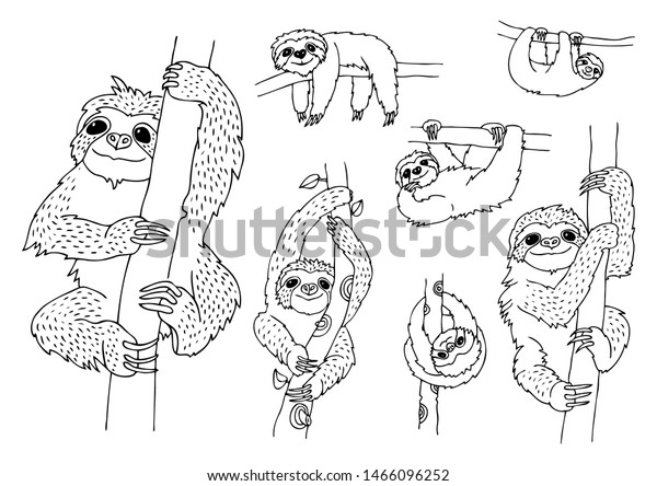 Sloth Set Cute Smiling Sloth Hanging Stock Vector (Royalty Free) 1466096252