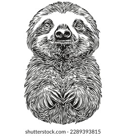 Sloth sketchy, graphic portrait of a Sloth on a white background, Sloths
