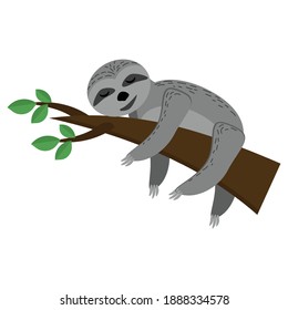 Sloth sleeping on a branch, cute gray animal with closed eyes on a brown branch with leaves in flat style vector illustration