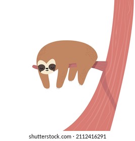 sloth sleeping on Tree Branch