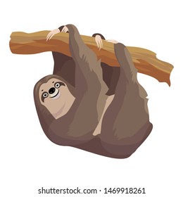 Sloth smiling icon. Cartoon of sloth smiling vector icon for web design isolated on white background