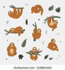 Sloth South America animal vector illustrations set