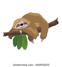 Sloth stay on tree icon. Cartoon of sloth stay on tree vector icon for web design isolated on white background