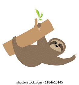 Sloth. Tree branch Cute cartoon character. Fluffy fur. Wild joungle animal collection. Baby education. Isolated. White background. Flat design. Vector illustration