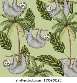 sloth with tropical palm and leaves background