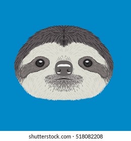 sloth vector illustration