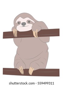 sloth. vector illustration