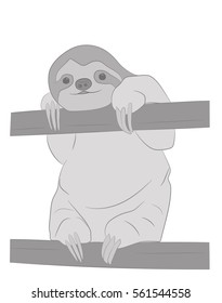 sloth. vector illustration.
