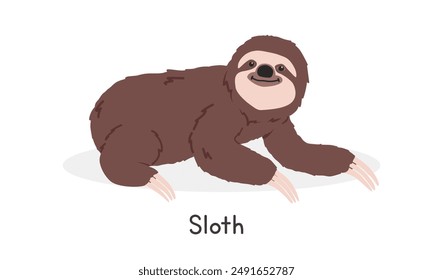 Sloth vector illustration, cartoon clipart character, animal in flat style. Wild animals, wild creatures, wildlife concept. Sloth vector design isolated on white background