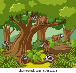 Slothes live in forest illustration