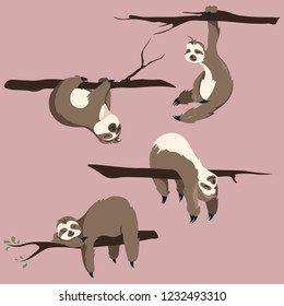 Sloths cartoon animals vector clip art . Illustration of cute character hand drawn animals .