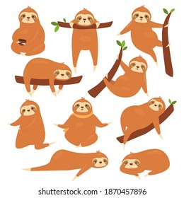 Sloths vector illustration set. Cartoon cute lazy various poses of sloths characters collection, funny brown animal sleeping on tropical tree branch in jungle, hanging and sleeping isolated on white