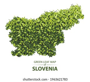 slovenia map made up of green leaf on white background vector illustration of a forest is conceptual of the global green environmental issues worldwide