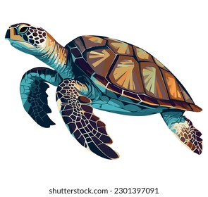 Slow aquatic reptile with colored shell swimming over white