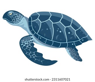 Slow aquatic turtle icon isolated