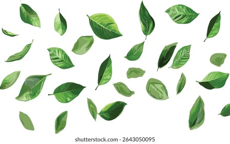 Slow down falling leaves movement, vector isolate leaves, autumn leaves, falling leaves motion, nature background, leaf movement, falling autumn, vector autumn