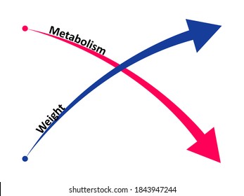 Slow down metabolism and weight gain. The ratio of metabolism to weight gain. Vector