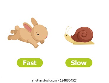 Slow Fast Antonyms Word Card Vector Stock Vector (Royalty Free ...