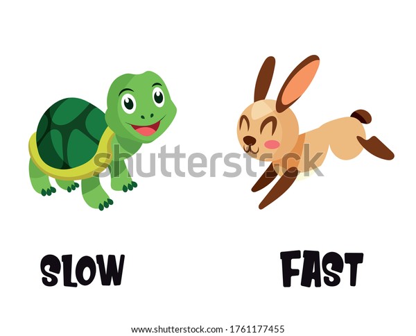 Fast hare and slow tortoise. Fast Slow. Произношение слов Hare,Tortoise,fast,rest, Race,winner.. Fast animals and Slow Kids.