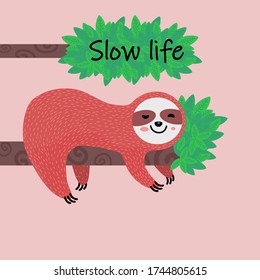 slow life,sloth,sloth lying on a tree.