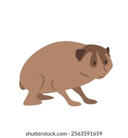 Slow loris cartoon clipart. Prosimian loris vector illustration in flat style. Hand-drawn wild animal concept