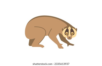 Slow Loris (Nycticebus coucang) in side angle view, flat style vector illustration isolated on white background