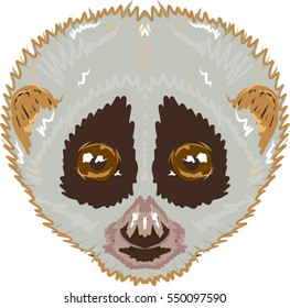 Slow loris sketch vector illustration clip-art image