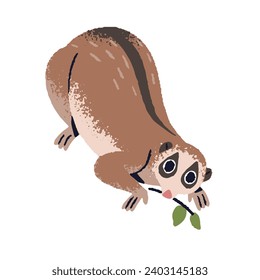 Slow lorises on tree branch. Cute lemur with big eyes. Funny exotic primate, adorable tropical monkey. Rainforest small animal, forest inhabitant. Flat isolated vector illustration on white background