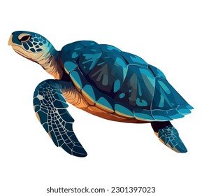 Slow sea turtle crawls on blue over white