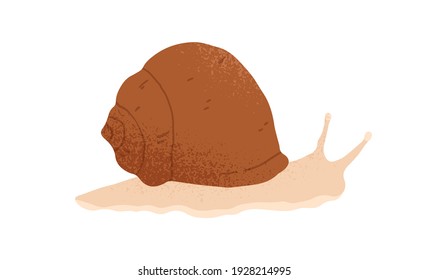 Slow And Slimy Snail With Spiral Shell Crawling. Hand-drawn Slug Animal Or Snailfish. Colored Flat Textured Vector Illustration Isolated On White Background