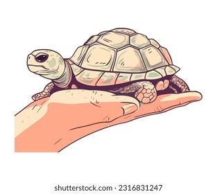 Slow and steady, the cute tortoise crawls icon isolated