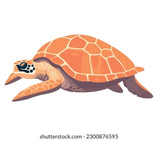 Slow and steady the tortoise crawls over white