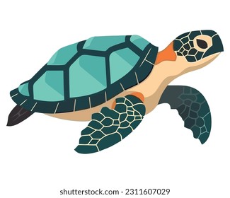 Slow and steady turtle swims in blue water isolated