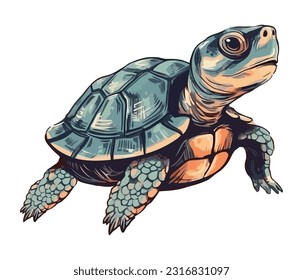 Slow turtle crawling on white background, cute icon isolated